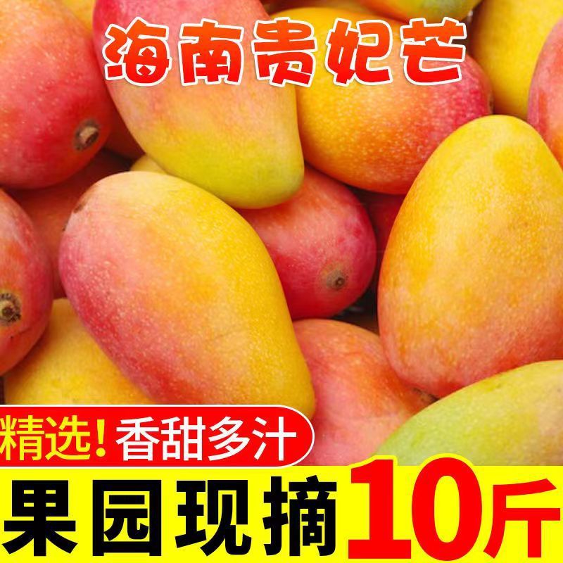 海南贵妃芒果斤装整箱新鲜应季水果2斤红金龙海南芒果厂批发
