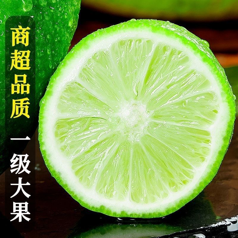 海南新鲜无籽香水柠檬青柠批发奶茶店水果专用现摘包邮小时发货
